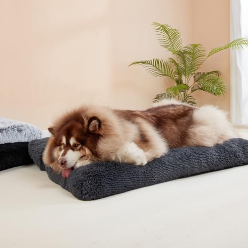 EHEYCIGA Fluffy Dog Crate Bed for Small Dogs, Plush Faux Fur Crate Pad, Calming Anti Anxiety Small Dog Bed, Washable Soft Warm Mat with Non-Slip Bottom, Dark Grey - color: Dark Grey, size: 23.6 x 17.5
