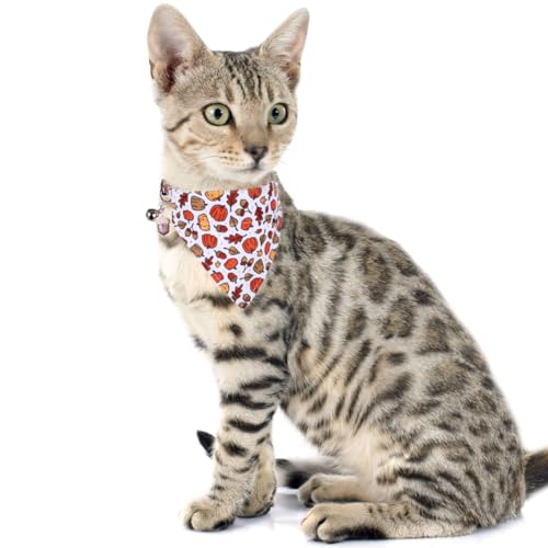 Thanksgiving Day Cat Collar Fall Breakaway with Bandana and Bell Autumn Holiday for Kitty Adjustable Safety - color: Maple leaf-bandana