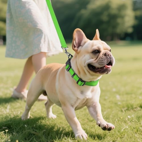 Joytale Reflective Dog Collar, Soft Neoprene Padded, Metal D-Ring, Nylon Pet Collar Adjustable for Small Dogs, Green, S - color: Green, size: Small (Pack of 1)