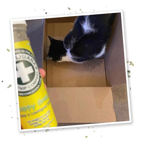 Meowijuana Strawberry Bundle | Get Sprung Refillable Strawberry Toy and Happy Grass Catnip Blend | Promotes Play and Cat Health | Includes North American Organic Catnip