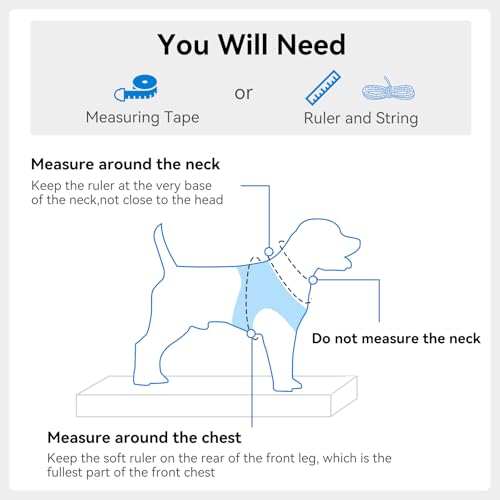 Joytale Small Dog Harness, Breathable Mesh Step-in Vest, Reflective Soft Padded Harnesses for Cats and Puppies Dogs, Sky Blue, XXXS - color: SkyBlue, size: XXXS--Chest: 10.5-12''