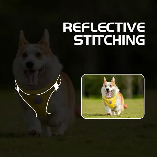 Soft Mesh Dog Harness and Leash Set, No Pull Puppy Harness and Leash Set, Reflective Step in Harness for Small Medium Dogs, Easy Walk Escape Proof Vest Harnesses (Yellow, XXS) - color: Yellow, size: XXS