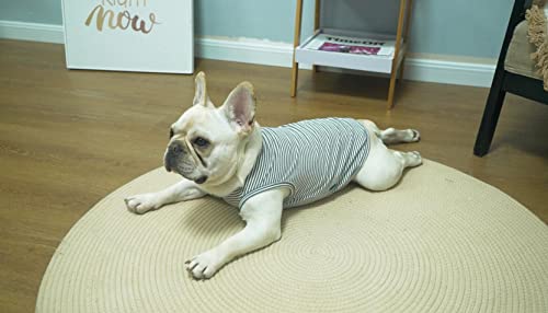 Dog Shirt,Combed Cotton T-Shirts,Soft Cool Boy Girl Tee for Small Dogs Kitty Puppy Chihuahua,Grey Striped S - color: Light & Deep Grey Striped, size: Small