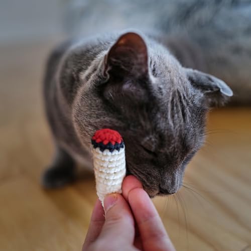 LIT LABS Catnip Doobies Toy Kittie J's Pre-Rolled Cone Form 3 inches Long - Handmade Crocheted - Entertain Your Cat with Hilarious Cartoon J's: Perfect Cat Gift, Comes in a 2-Pack - style: 2 Pack - Crocheted