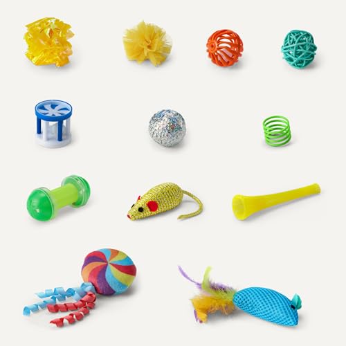 Amazon Basics Cat Toy Set, 20 Piece Variety Pack with Teaser, Ball, Feather, Spring - style: cat toy kits