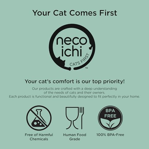 Necoichi 2pcs Elevated Cat Water Bowls with Measurement – BPA-Free Plastic Raised Bowls to Reduce Whisker & Neck Fatigue – Dishwasher Safe – Non-Slip, Anti-Vomiting (Ocean Mist) - color: Blue Green and Green (Ocean Mist)