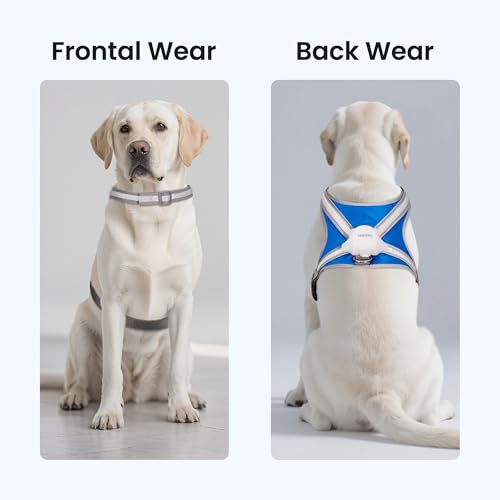 Light Up Dog Harness, Reflective Adjustable Dog Vest, No Pull Illuminated LED Harness for Dogs Night Walking Hiking Running, Waterproof,Lightweight(Large, Blue)