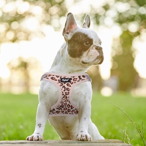 PUPTECK Dog Harness and Leash Set for Small Medium Dogs No Pull Step-in Soft Mesh Puppy Cat Vest Harnesses Reflective at Night, Brown Leopard Print, L - color: #3 LightBrown(Leopard), size: L(CHEST 18"-20", 16.5-22 lbs)