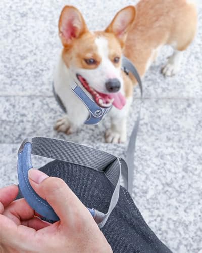 Small Dog Harness and Leash Set,No Pull Adjustable Step in Soft Mesh Vest Harness,Easy Walk Reflective Pet Harness with Padded Handle for Walking Training Small Medium Large Dogs and Cats (Blue, S) - color: Blue, size: S
