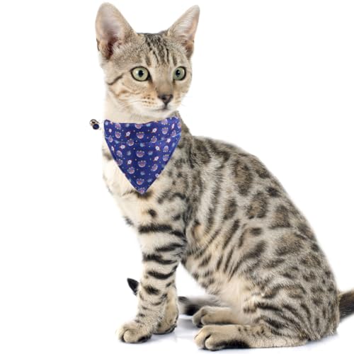 Cat Collar Breakaway with Cute Bow Tie Bandana and Bell Universe Accessories for Kitty Adjustable Safety - color: universe