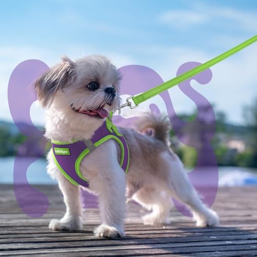 rabbitgoo Dog Harness Small Sized and Leash Set, Step-in Breathable Pet Harness, Soft Walking Reflective Puppy Vest for Small Dogs, Purple & Green, XXS - color: Purple & Green, size: XXS (Chest: 12.4 - 14.2")