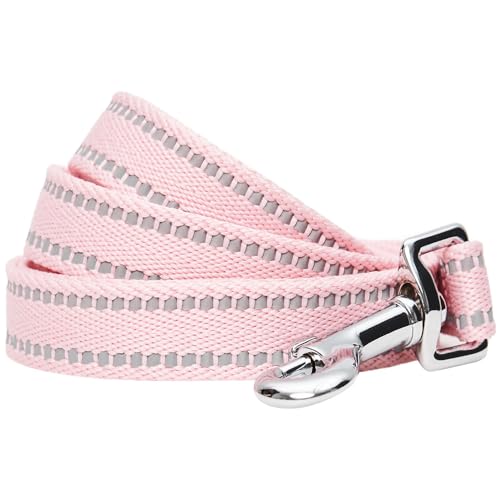 Blueberry Pet Essentials Matching Dog Collar & Leash Set | Pastel Reflective Adjustable Collar with 4 ft Lead for Large Dogs, Baby Pink - color: Baby Pink, size: Large