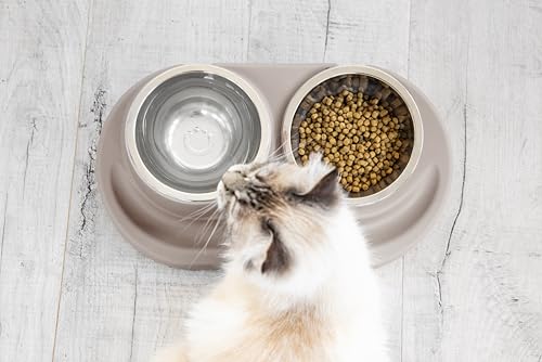Ubbi Pet Feeding Bowls Set with Non-Slip Mat, Elevated & Flat Stainless Steel Dog or Cat Bowls, Ergonomic 15° Angled Feeder, Dishwasher Safe, Taupe - color: Taupe
