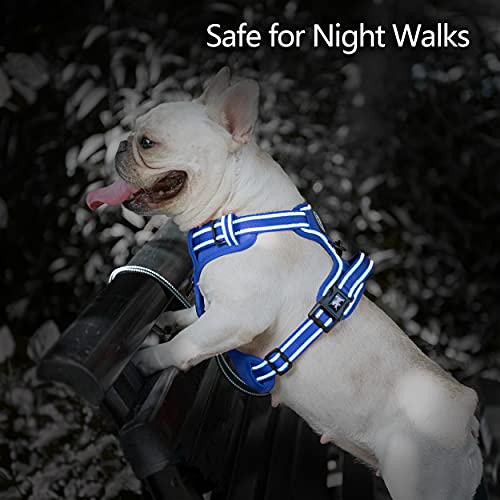 PoyPet No Pull Dog Harness, No Choke Reflective Dog Vest, Adjustable Pet Harnesses with Easy Control Padded Handle for Small Medium Large Dogs(Royal Blue,XS) - color: Royal Blue, size: XS