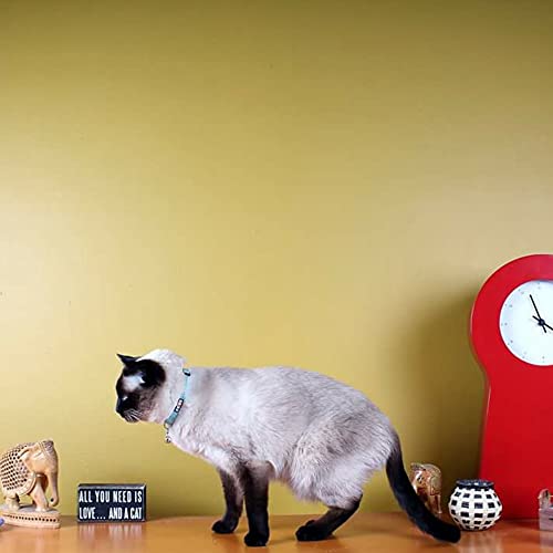 Pawtitas Reflective Red Cat Collar with Safety Buckle and Removable Bell for Kitten and Cats - color: Reflective Red