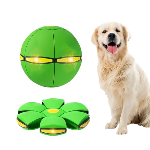 Magic Bouncing Ball, Magic Meta - Ball, Children's Magic Bouncing Balls, Doggy Disc Ball, Flying Saucer Ball, Parent-Child Interaction with Lights for Indoor & Outdoor Play Green and Blue - color: Green