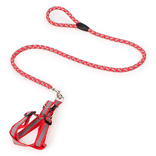 Dog Leash Reflective Glow in the Dark Durable Lightweight Rope for Night Walking and Outdoor Safety - color: Red