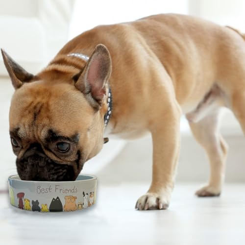 SPOT Best Friends Pet Food Dish - Food or Water Ceramic Bowl for Pets, Ideal for Small Dogs, Dishwasher Safe, 1.75 Cups (14oz) Capacity - 5in, Light Grey - size: 5 inch