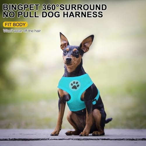 BINGPET Small Dog Harness, No Pull Dog Harness Small Sized Dogs, Soft Light Breathable Mesh Puppy Vest with Safety Buckle-Adjustable Step in Pet Harnesses for Easy Walking, Running, Training - color: Royal Blue, size: S (NECK: 12", CHEST: 14"-18")