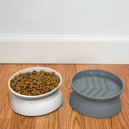Kitty City Elevated Slow Feeder Cat Bowls (Set of 2), Whisker-Friendly Raised Cat Food Dishes with Ridges, Helps Reduce Fast Eating & Digestion Issues, Dishwasher Safe, 6.5 oz – White & Gray - color: Gray/White, size: Small, style: Small - Slow Feed