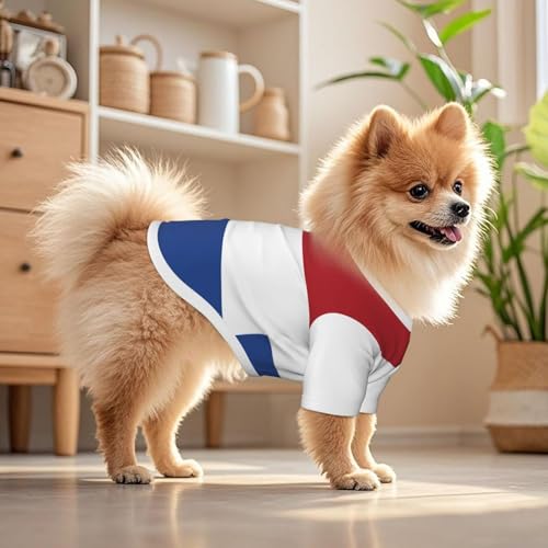 SWEET TANG Small Dog T-Shirt with UPF 50+ Sun Protection, Netherlands Flag, Breathable Quick Dry Summer Clothes for Puppy Cats, Large - color: Pattern (116), size: Large