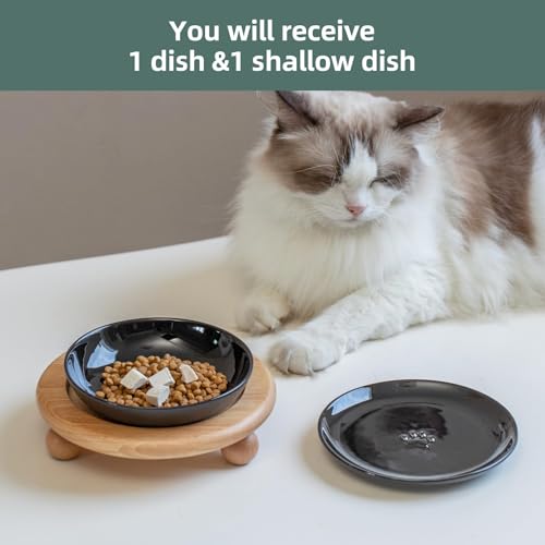 Havniva Cat Bowls Elevated 5.6” Ceramic Cat Bowl with Stand Whisker Friendly Cat Dishes, Cat Food & Water Bowl Set with Two Heights Options, Raised Cat Food Plates for Kitten Anti-Slip Pet Bowls - color: 1 Bowl+1 Shallow Dish+Stand- Black