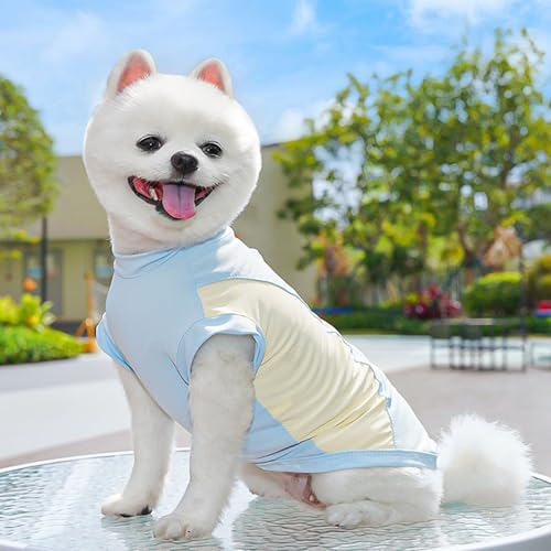 Sun Protection Dog Shirt Breathable Quick-Drying Ice Silk Dog Cooling T-Shirts Summer Pet Sleeveless Clothes for Small Medium Dogs Cats Blue 6XL - color: Blue, size: 6XL
