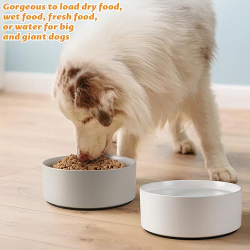Large Dog Bowls, Non Slip Heavy Ceramic Dog Food and Water Bowl with Silicone Base, 8" Pet Feeding Bowl for Small, Medium, and Big Dogs (Grey, 8 Inches) - color: Grey, size: 8 Inches