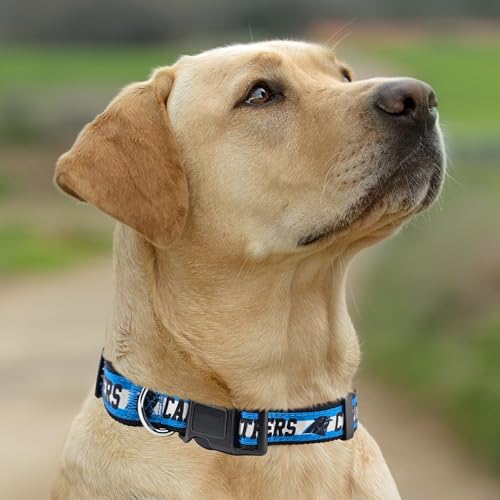 New & Improved Pets First NFL Licensed PET Collar- Heavy-Duty, Strong, and Durable New Dog Collar. Available in 32 Football Teams and 4 Sizes - color: Carolina Panthers, size: Large