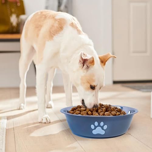 kathson 2 Pack Stainless Steel Dog Bowls,6" Spill Proof Metal Dog Food Bowls,Nonslip Rubber Bottom Pet Food and Water Bowl Set,Puppy Dishes Feeder for Medium Small Dogs,Grey - color: Grey, size: 2.5cups