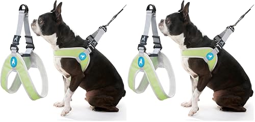 Gooby Simple Step in III Harness - Green, X-Small - Small Dog Harness with Scratch Resistant Outer Vest - Soft Inner Mesh Harness for Small, Medium Dogs (Pack of 2) - color: Green, size: X-Small chest (12∼14.75") (Pack of 2)