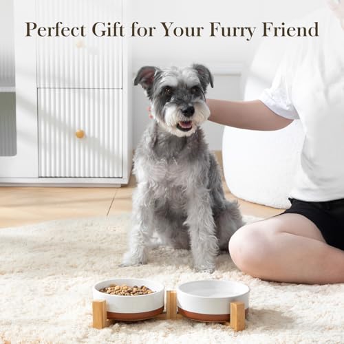 MALACASA Ceramic Dog Bowls Small Size Dog with Wood Stand, 1.5-Cup Ceramic Puppy Bowls for Cats & Small Dogs, Dual Food and Water Bowls with Weighted Non-Slip Base, Glaze Matte,14 Oz - color: Vanilla White(2 PCS with Stand), size: S-1.5 Cups