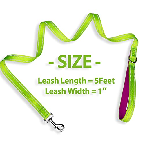 PHOEPET 5 Feet Dog Leash with Comfortable Padded Handle Easy Snap Clasp - Reflective Walking Lead for Large, Medium & Small Breed Dogs (Green + Purple Base) - color: Green + Purple Base