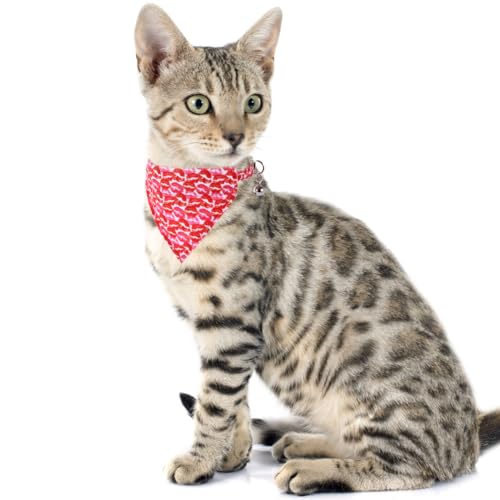 Valentine's Day Cat Collar Breakaway with Cute Bandana and Bell for Kitty Adjustable Safety Love Heart - color: Valentine-bandana