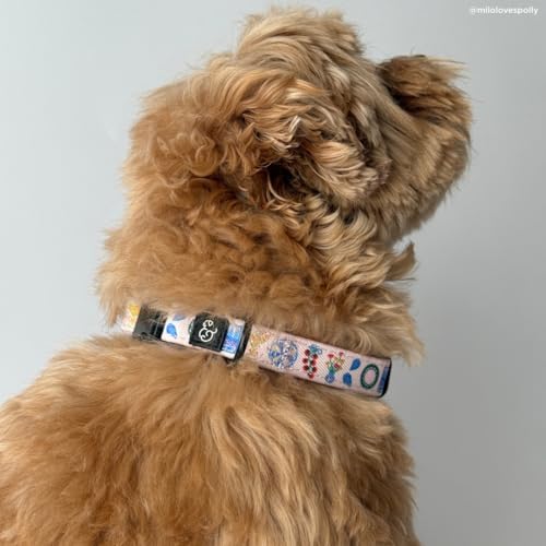 Lucy & Co. Dolce Vita Dog Collar, Adjustable Durable Dog Collar with Cute Print, Small - color: Dolce Vita, size: Small