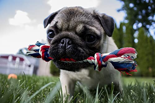 Small Dog and Puppy Knotted Rope Chew Toy - Extra Small Size 6" - size: Small