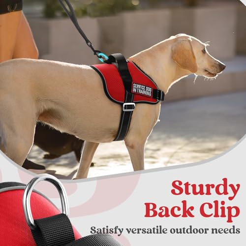 rabbitgoo Dog Harness Medium Sized, Easy On Pet Vest with One Buckle, No Pull Adjustable Service Harness with D-Ring & Handle, Reflective for Safety Walking, Training, Red, M - color: Red, size: Medium
