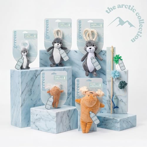 Cat Toys | Plush Fish Teaser Cat Wand Toy | Eco Friendly Interactive Cat Toys for Indoor Cats - style: Finn the Fish Teaser