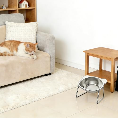 Stainless Steel Raised Cat Food Bowl for 2 Bowls, 5.9-Inch Replaceable Cat Bowl, Pack of 2 Indoor Cat Dishes for Food and Water (Dishwasher Safe) - size: 2Plates