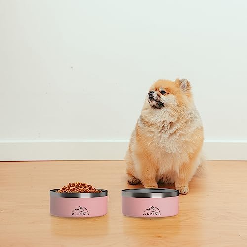 Alpine Set of 2 Stainless Steel Dog Bowls, Non Slip, Metal Pet Bowl for Food and Water, Double Walled Insulated, Rustproof, Dishwasher Safe- 32 Ounces- Sky Blue (AB) - color: Sky Blue, size: 32 oz