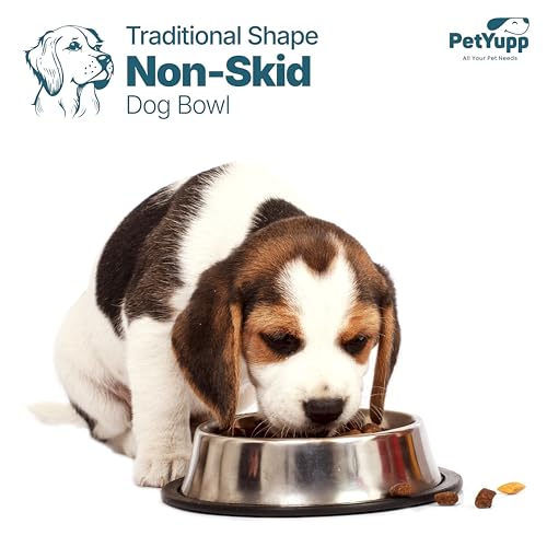 Stainless Steel Non Skid Dog Bowl – Non-Slip Rubber Base, Rust-Proof & Dishwasher Safe – Durable Food and Water Bowl for Dogs and Cats – 64oz - size: Non Skid Bowl - 64 oz
