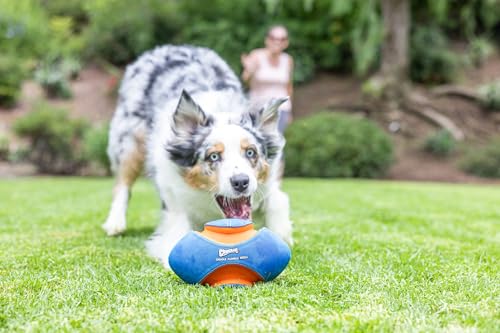Chuckit! Giggle Fumble Fetch Ball Dog Toy (7.9 Inch Diameter) Giggle Sounds Dog Toy (No Batteries Required), for All Breeds - style: Giggle Fumble