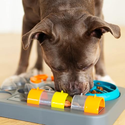 Messy Mutts Flip’n Slide Puzzler | Large | 16” x 13” Expert Level Puzzle Feeder for Dogs | Interactive Slow Feeder Puzzle for Food/Treats | Enrichment Dog Toy - size: Large