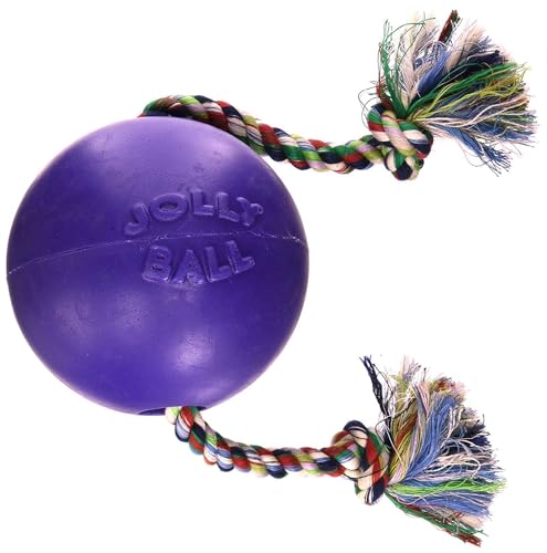 Jolly Pets Romp-n-Roll Rope and Ball Dog Toy, 4.5 Inches/Small, Purple, 4.5-Inch Romp-n-Roll, Purple - color: Purple, size: Small (4.5 in)