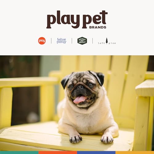 P.L.A.Y. Cute Plush Dog Toys - Fruit & Vegetable Themed Durable Squeaker Chew Toy, Great for Puppies & Small, Medium, Large Dogs - Machine Washable, Recycled Materials (Garden Fresh Peapod, Medium) - color: Peapod, size: Medium