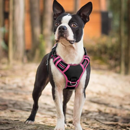 rabbitgoo Dog Harness Small Sized, No Pull Dog Vest with 3 Buckles, Adjustable Soft Padded Pet Harness with Easy Control Handle and Reflective Strips, Black & Rose Pink, S - color: Black & Rose Pink, size: Small