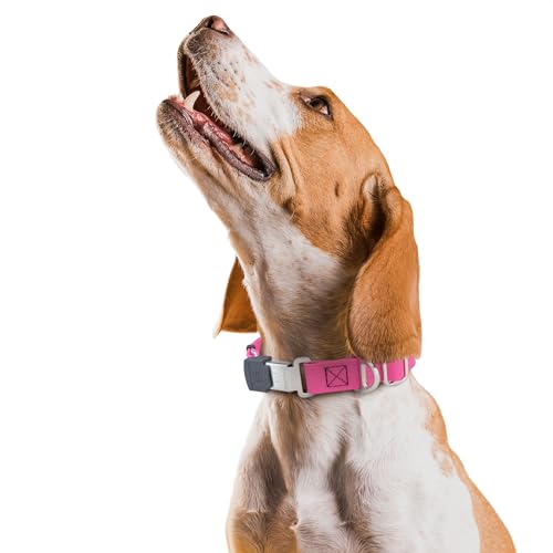 Biothane Waterproof Durable Dog Collar with Herm Sprenger - Quick Release ClicLock Buckle - Fits Medium and Large Dogs - Made in USA (Passionfruit Pink, W 1" x L 15"-25") - color: Passionfruit Pink, size: W 1" x L 15"-25"