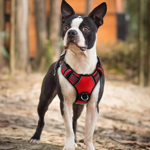 rabbitgoo Dog Harness Small Sized, No Pull Dog Vest with 3 Buckles, Adjustable Soft Padded Pet Harness with Easy Control Handle and Reflective Strips, Red, S - color: Red, size: Small
