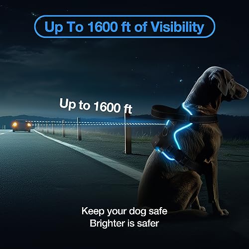 Light Up Dog Harness - No Pull Led Dog Harness Rechargeable Adjustable Lighted Dog Vest Harness for Small Medium Large Dogs - color: Black-Blue, size: XL