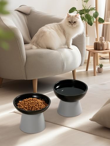 LoeJan Elevated Cat Food and Water Bowls Set, Extra Wide and Raised Ceramic Feeder, Anti-Vomit Whisker-Free Pressure Feeding Bowl for Kittens Adult Small Dogs (Black) - color: Black, size: Single (Water Bowl)